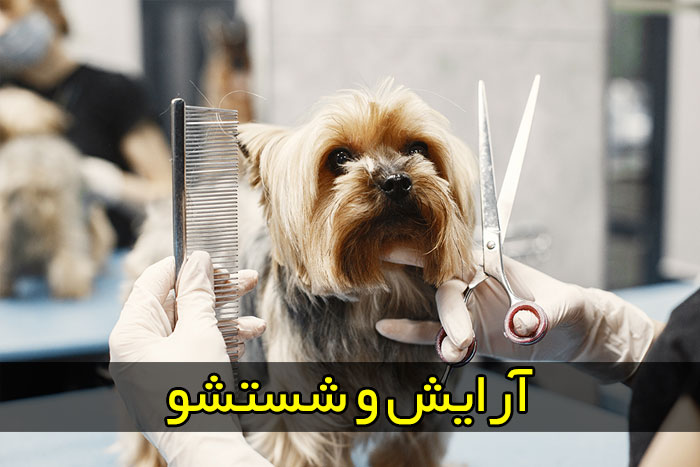 آرایش و شستشو